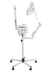 Ozone Steamer / 5 Dioptor Magnifying Lamp & High Frequency