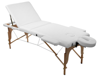 Portable Massage Table, Bed with Recline able Back